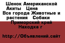 Шенок Американской Акиты › Цена ­ 35 000 - Все города Животные и растения » Собаки   . Приморский край,Находка г.